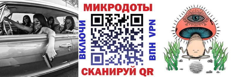 Псилоцибиновые грибы Cubensis  Городище 